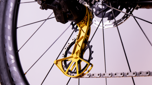 Introducing ROAM SPORTS and Kogel Bearings