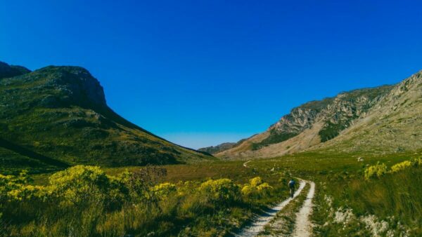 Kogelberg Nature Reserve: The Perfect Local Adventure