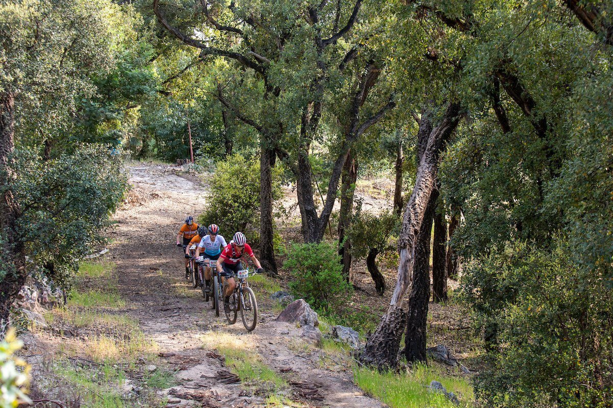 ACE21_S4_IMG_1805_Photo Sam Clark.jpeg