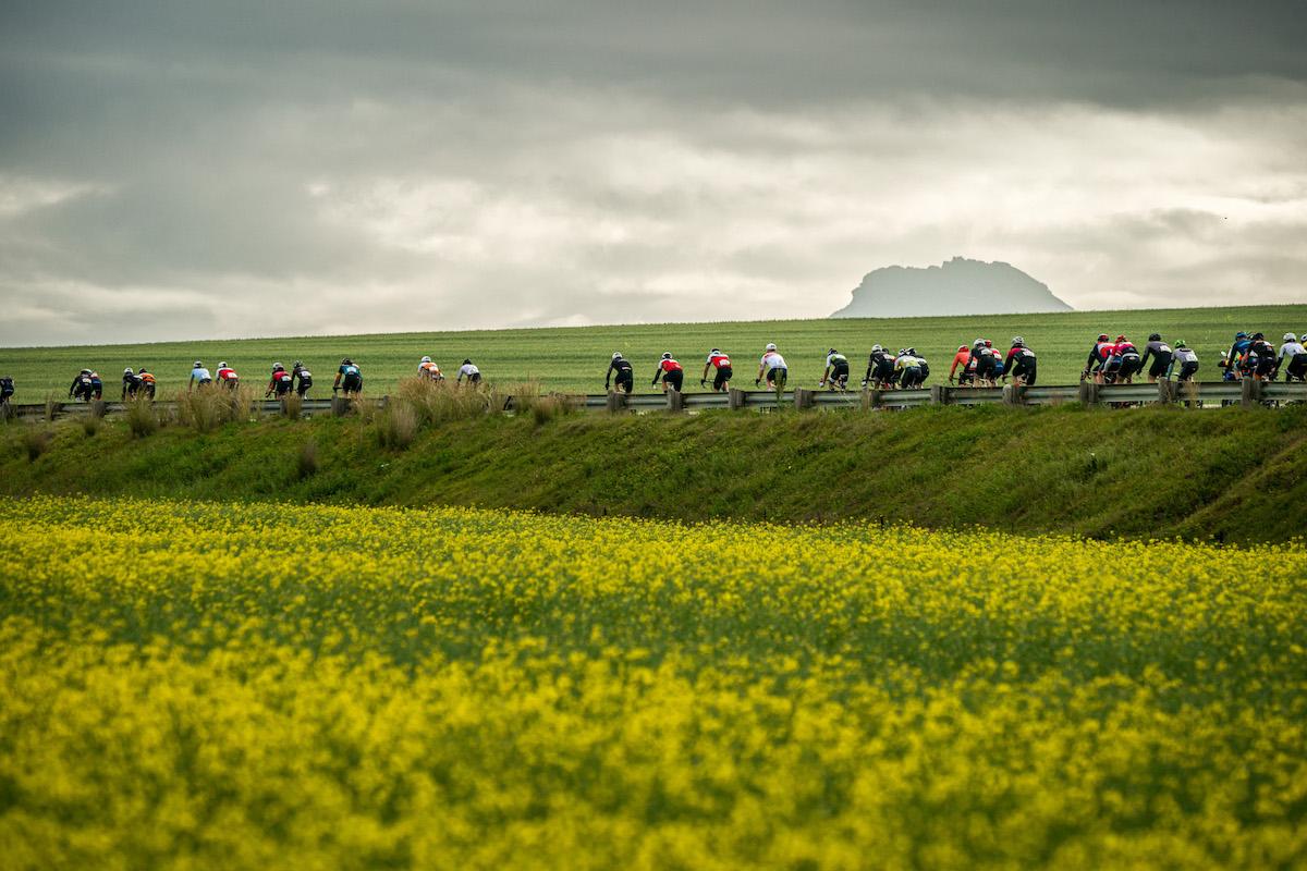 One Tonner release 3.jpg