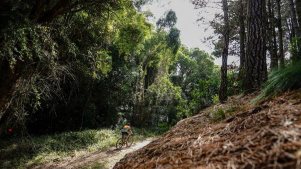 PE PLETT to follow updated route for 2023 edition