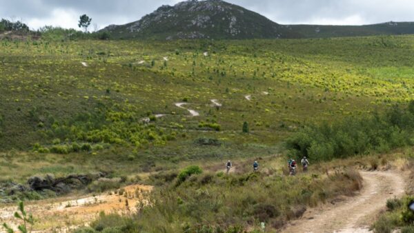 M&G Investments PE Plett Returns