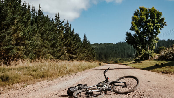 Photo Story: Cross Cape – Plettenberg Bay to Stellenbosch