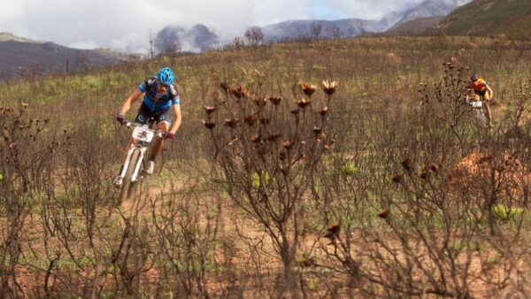 Italian mountain biker Riccardo Chiarini has tested positive for EPO