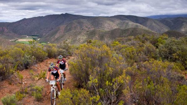 Bee attack mountain bikers make a full recovery