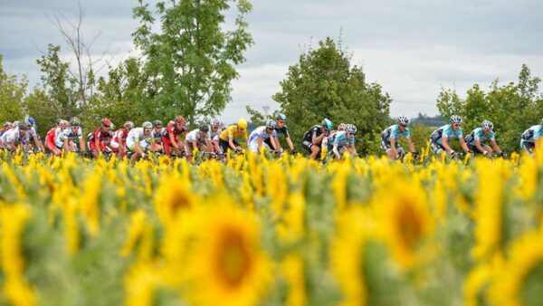 Impey to play pivotal role for his Tour de France team