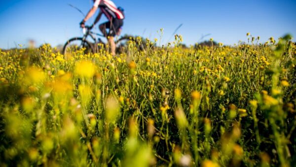 Race Report: Isuzu Trucks PE Plett Day 2