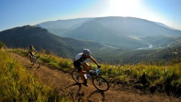 joBerg2c attracts global attention