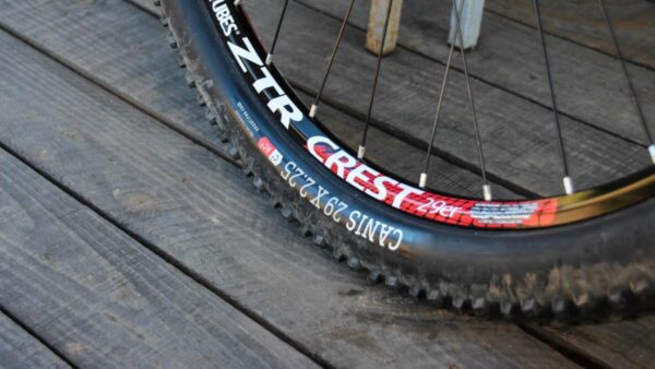 Review: Onza Canis 29 x 2.25 Tyres
