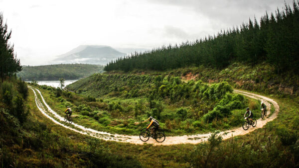 Livestreaming world first for Tour of Homewood MTB race