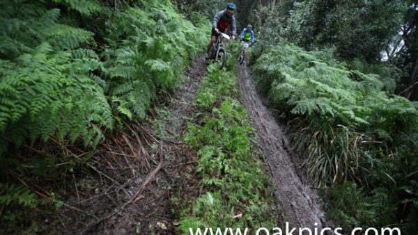Storms River Traverse and the Tsitsikamma Village Inn go that extra mile
