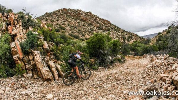 Continental launches Cape Pioneer Trek tyre