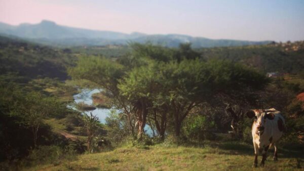 Entries pour in for new dusi2c MTB Race