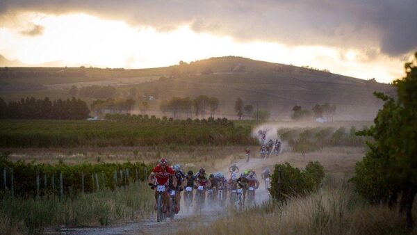 Race Report: 2014 Cape Argus Pick n Pay Momentum MTB Challenge