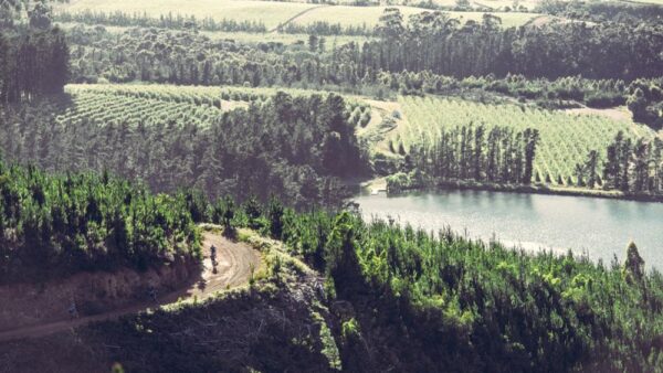 Tough day in the saddle at FNB W2W MTB Adventure