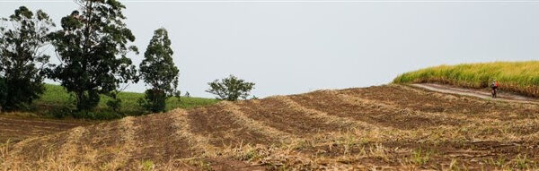 Strong Field Gathered For National MTB Series in Ballito