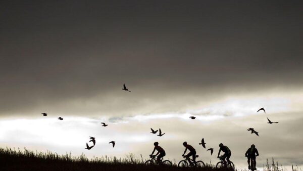Hermida and Van Houts take the Absa Cape Epic Prologue
