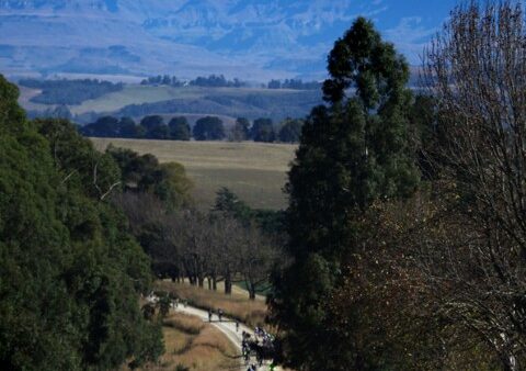 Entries for sani2c open on Monday
