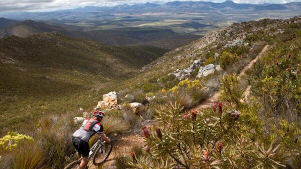 Bridge Cape Pioneer Trek gears  up for fifth-edition growth