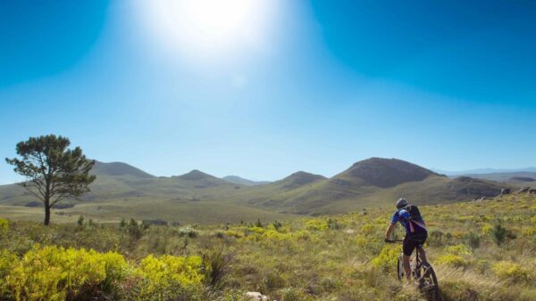 Impala Ranch – gem of a new Eastern Cape bike park unveiled