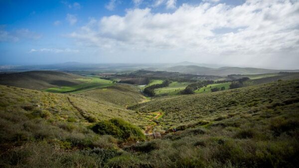 Western Province Championship DH at Contermankloof Race Report