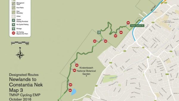 Introducing the Newlands Forest to Constantia Nek mountain bike trail
