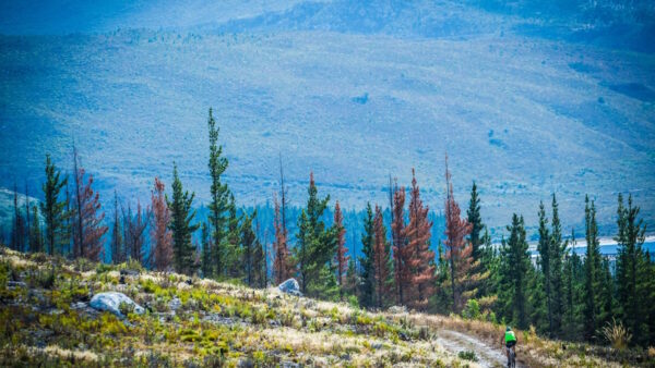 XTERRA SA Championship boasts a World Class Route