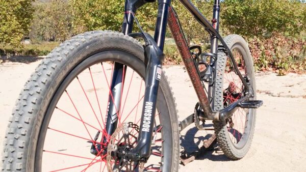 Hungry Monkey Part 4: The Ride