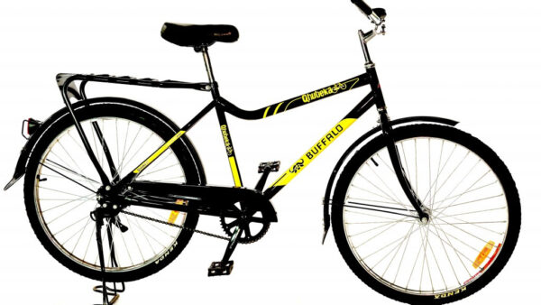 New look Qhubeka Buffalo Bicycles