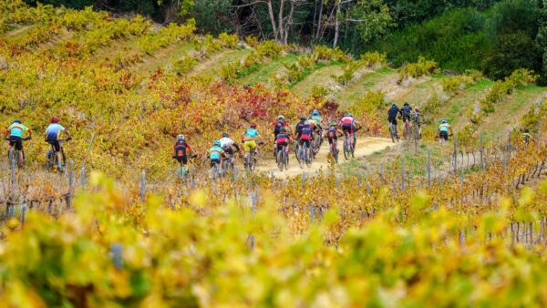 Race Report: SRAM WC XCO Series, in association with Tygerberg MTB Club #4 Diamant Estate