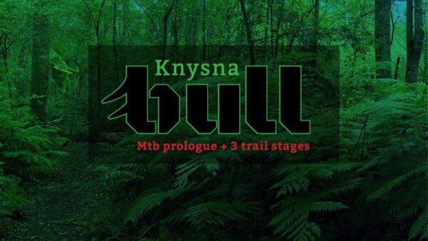 Introducing the Knysna Bull
