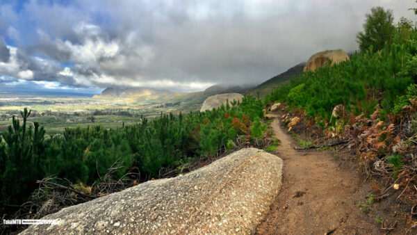 Tokai Trails: One Year Crime Free