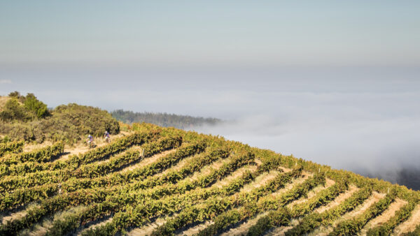Perfect start for Wolhuter and Boyes at Winelands