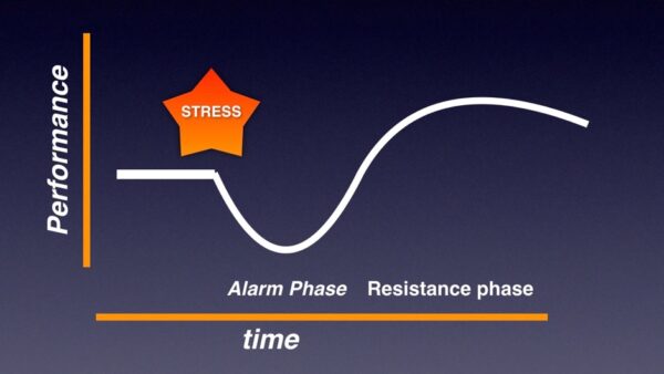 Ensuring training progression with power