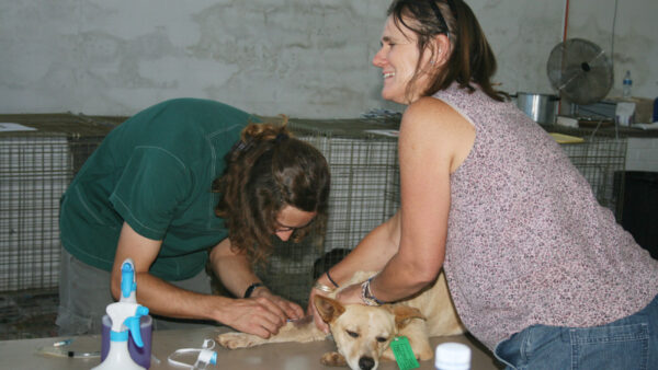 KAP sani2c gives back to local dog-owning community