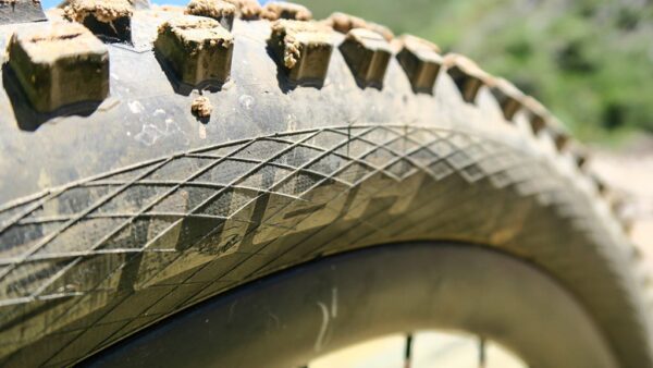 Review: Schwalbe Hans Dampf