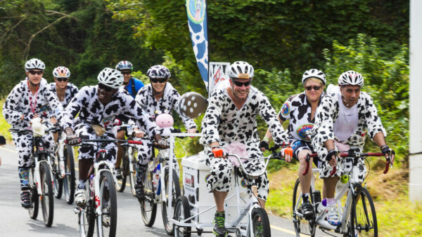 The Cows plan stampede at aQuellé Tour Durban