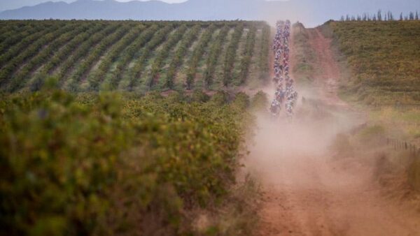 Get ready for the 2015 Absa Cape Epic new route