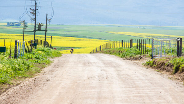 Staalwater MTB offers four distances to riders on one day