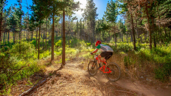 Some of the world’s foremost mountain bikers will be battling it out at the CTCT MTB Challenge