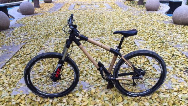Building a bamboo mountain bike