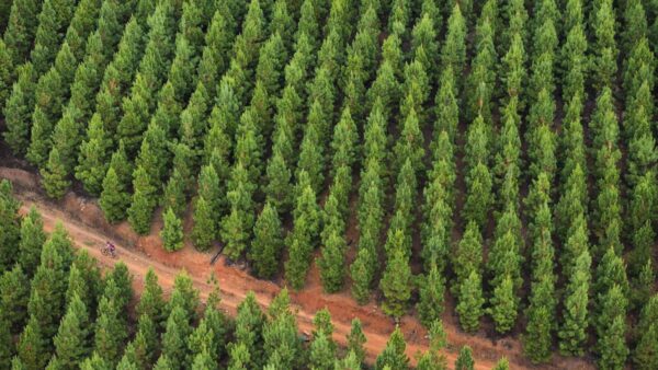 Fresh additions, the same great value for 2016 Sappi Karkloof Classic Trail Festival goers