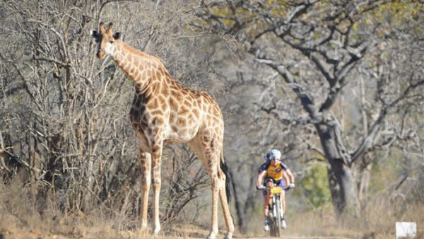 Momentum to back Tour of Legends mountain bike experience
