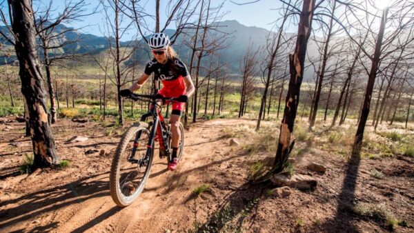 De Groot, Stenerhag ready for W2W title defense