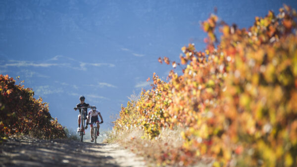 Mountain bikers to encounter epic Winelands experience