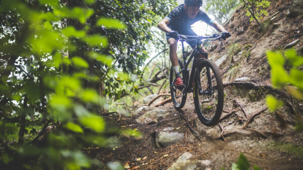 Lyne Components launches alloy wheelset range
