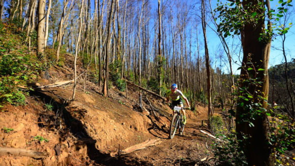 Beukes, Lill dominant winners at Trailseeker Bosman