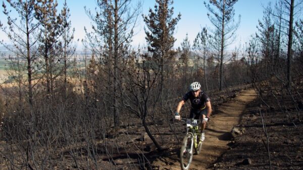 Inaugural Fairtree Contour memorable race