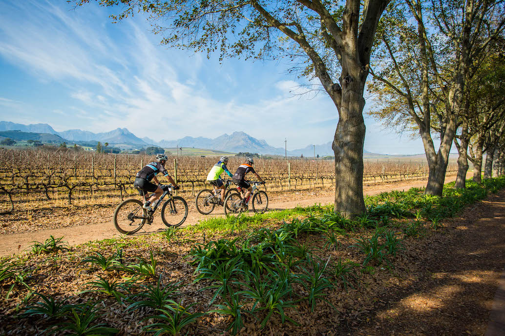 Stellenbosch MTB Challenge and farm run this weekend 2 ccs-62657-0-26714400-1532420391.jpg