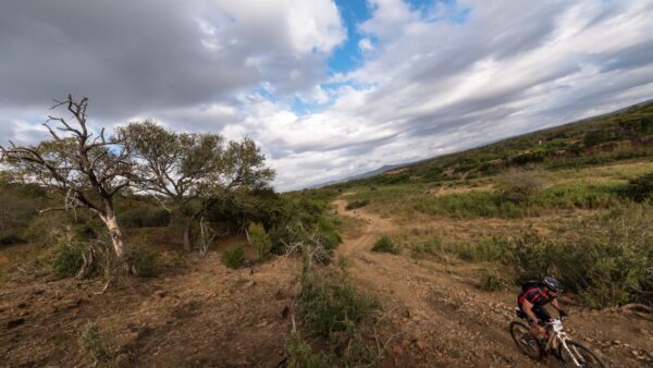 African Wild Dog the biggest winner in Old Mutual iMfolozi MTB Challenge